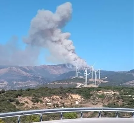noticias cadiz incendio tajo.jpg noticias cadiz incendio tajo.jpg
