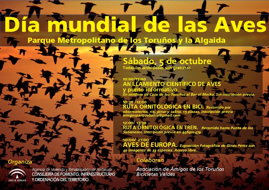 noticias cadiz los toruños_2.jpg noticias cadiz los toruños_2.jpg