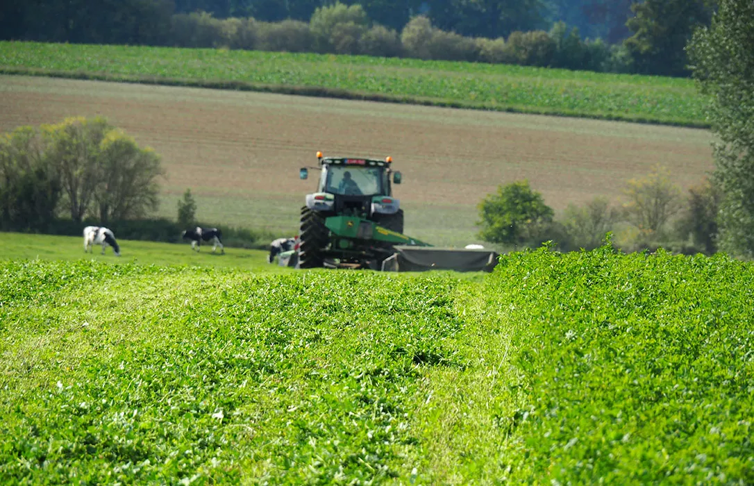 noticias cadiz agricultura_1.jpg noticias cadiz agricultura_1.jpg