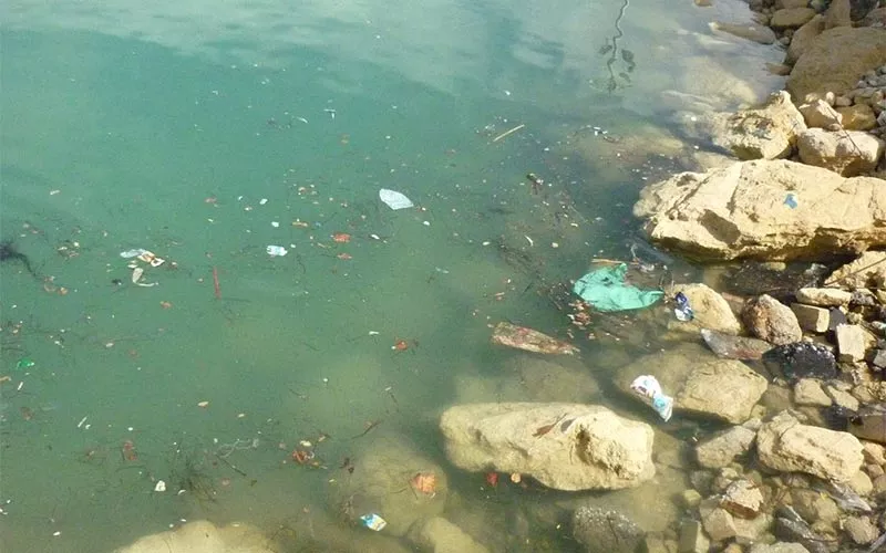 noticias cadiz bosas basura piojito.jpg noticias cadiz bosas basura piojito.jpg