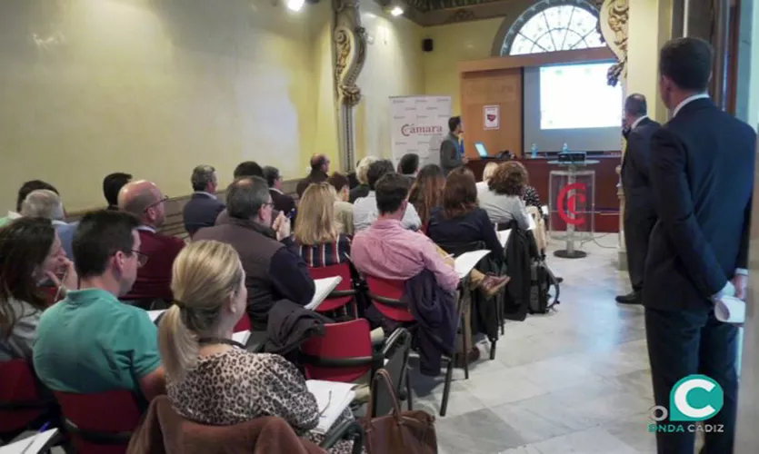 noticias cadiz camara de comercio_2.jpg noticias cadiz camara de comercio_2.jpg