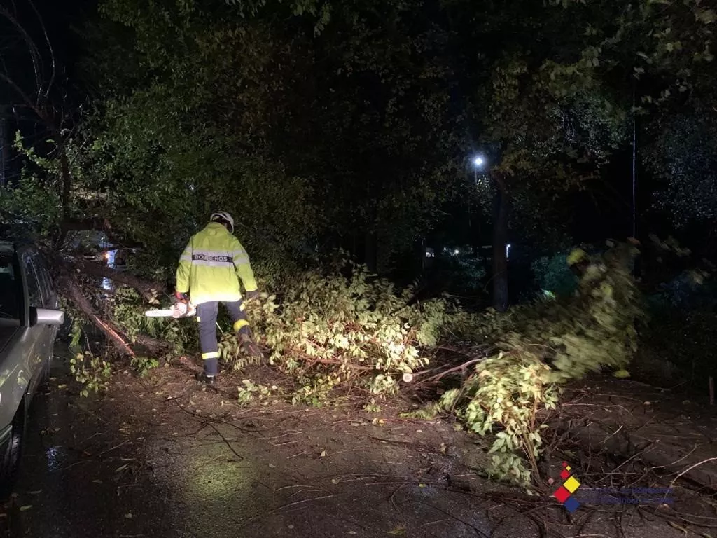 noticias cadiz incidencias viento.jpg noticias cadiz incidencias viento.jpg
