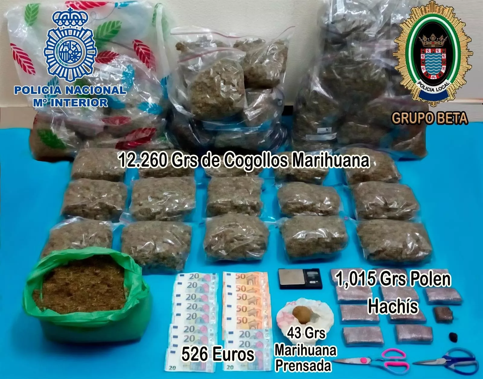 noticias cadiz marihuana_7.jpg noticias cadiz marihuana_7.jpg