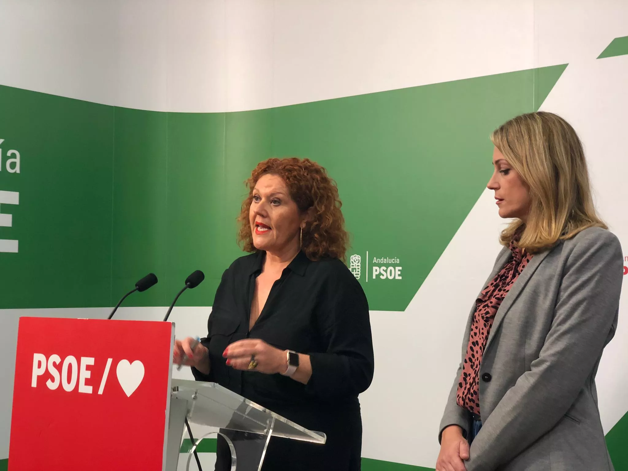 noticias cadiz psoe 25N.jpg noticias cadiz psoe 25N.jpg
