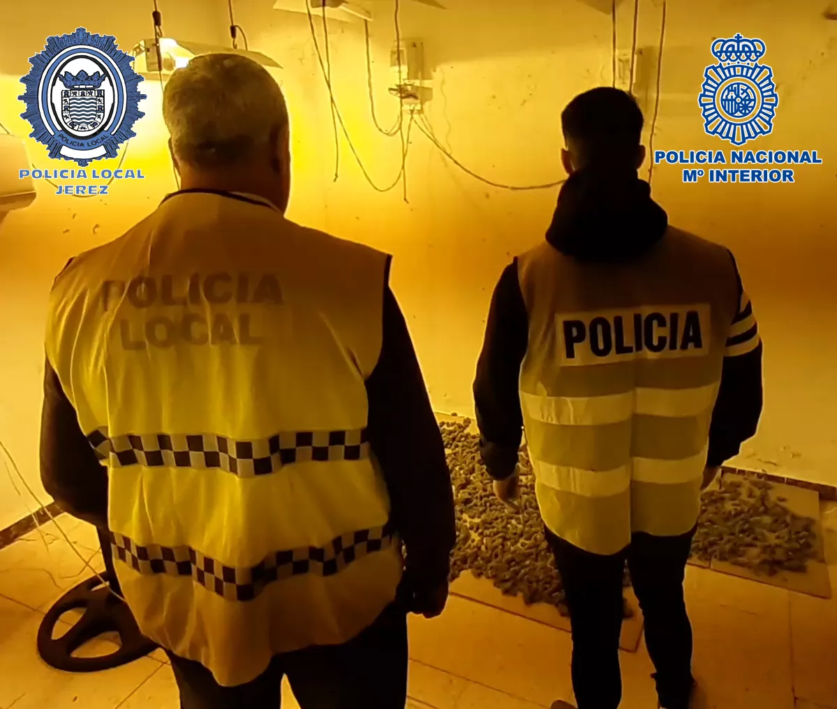 noticias cadiz Marihuana.jpg noticias cadiz Marihuana.jpg