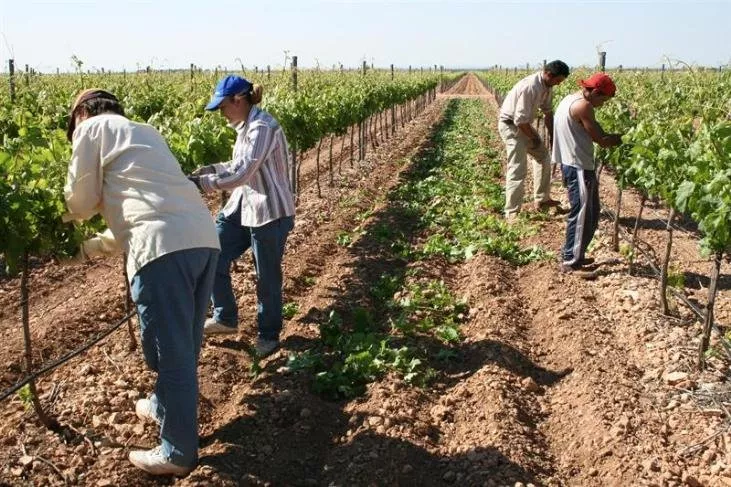 noticias cadiz adelante andalucia_8.jpg noticias cadiz adelante andalucia_8.jpg