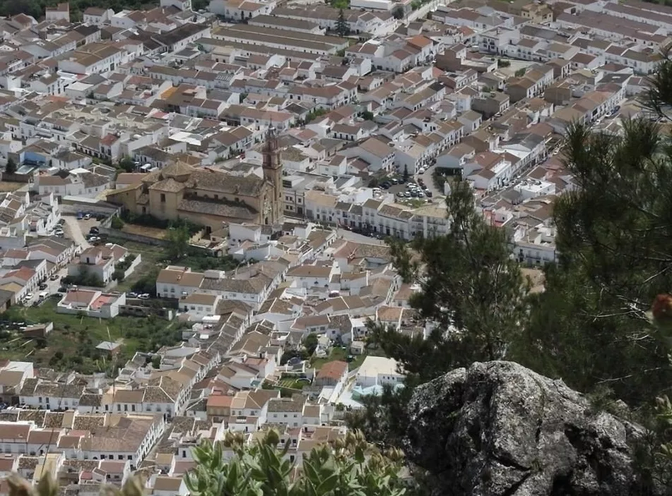 noticias cadiz algodonales_7.jpg noticias cadiz algodonales_7.jpg