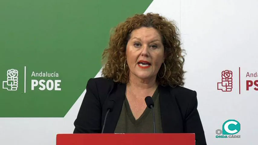 noticias cadiz araceli maese_14.jpg noticias cadiz araceli maese_14.jpg