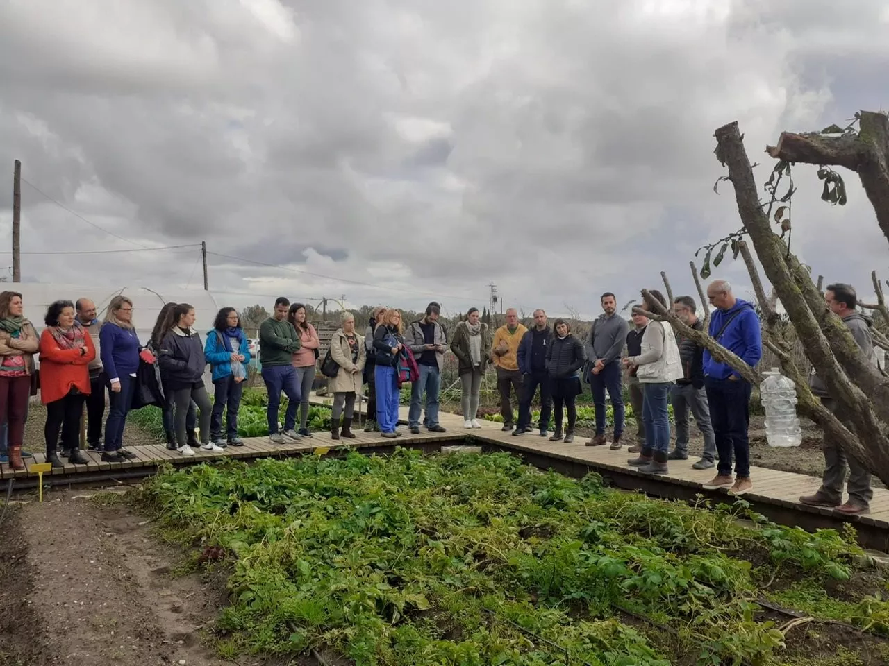 noticias cadiz huertos.jpg noticias cadiz huertos.jpg