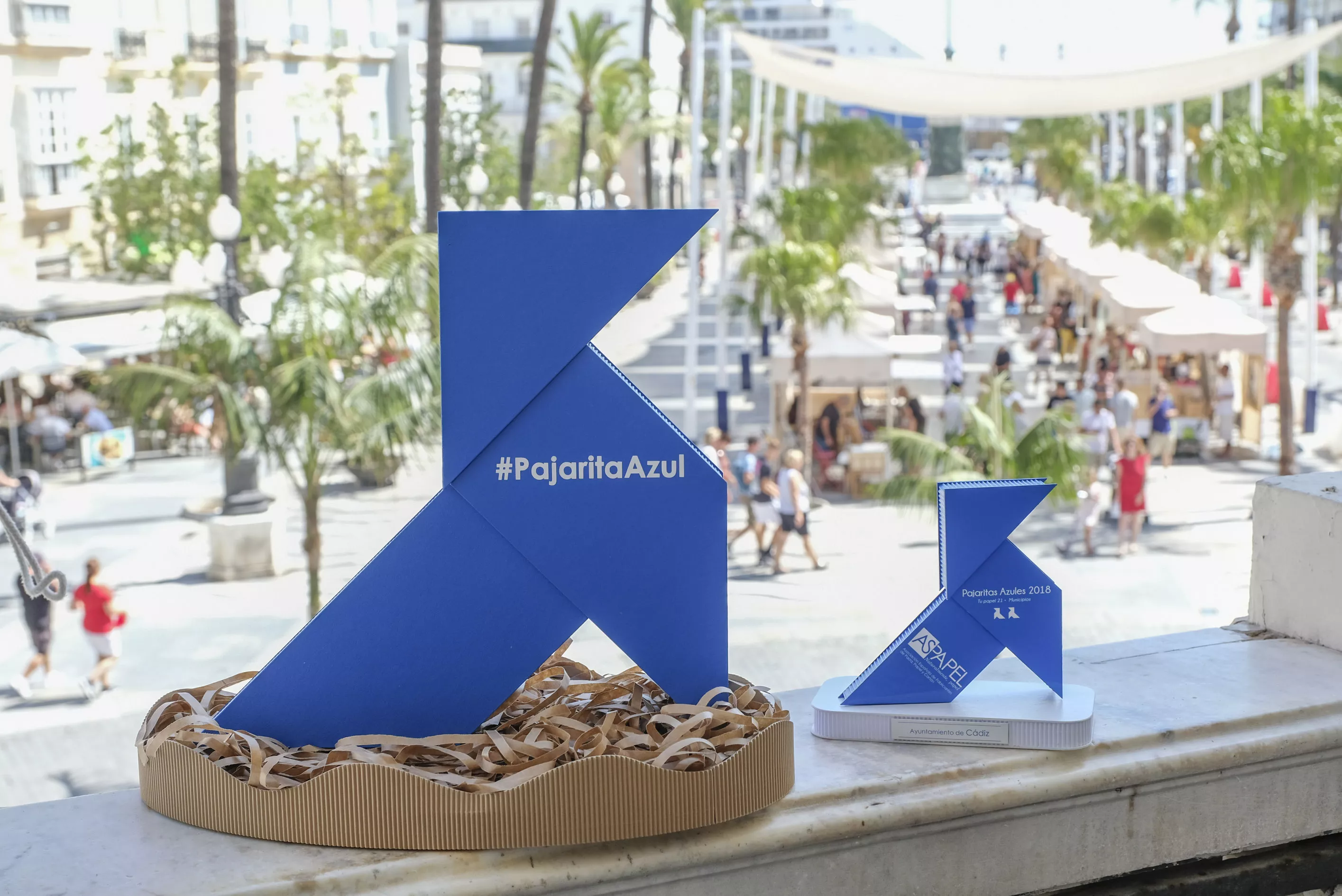 noticias cadiz pajarita_0.jpg noticias cadiz pajarita_0.jpg