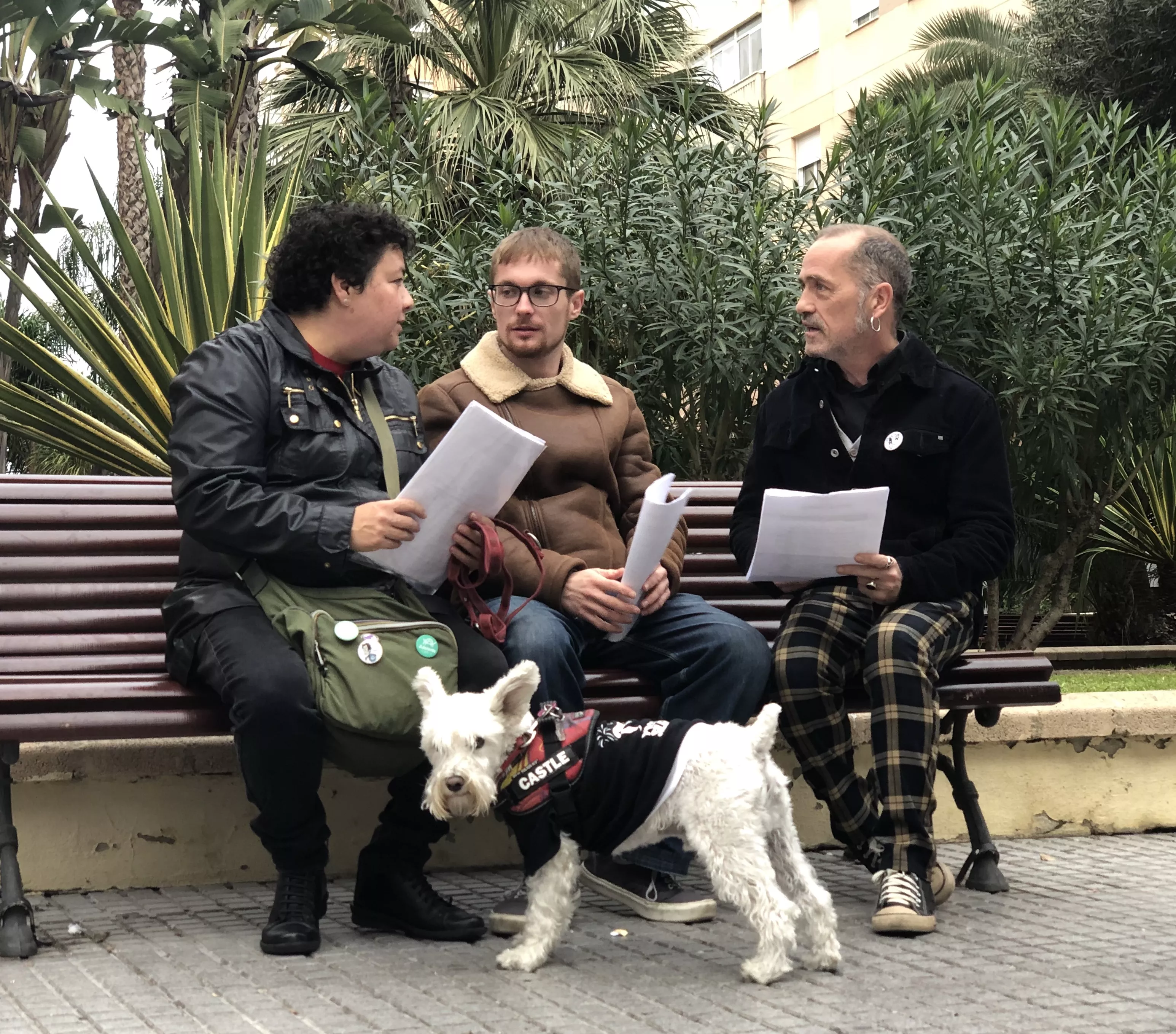 noticias cadiz pirotecnia.jpg noticias cadiz pirotecnia.jpg