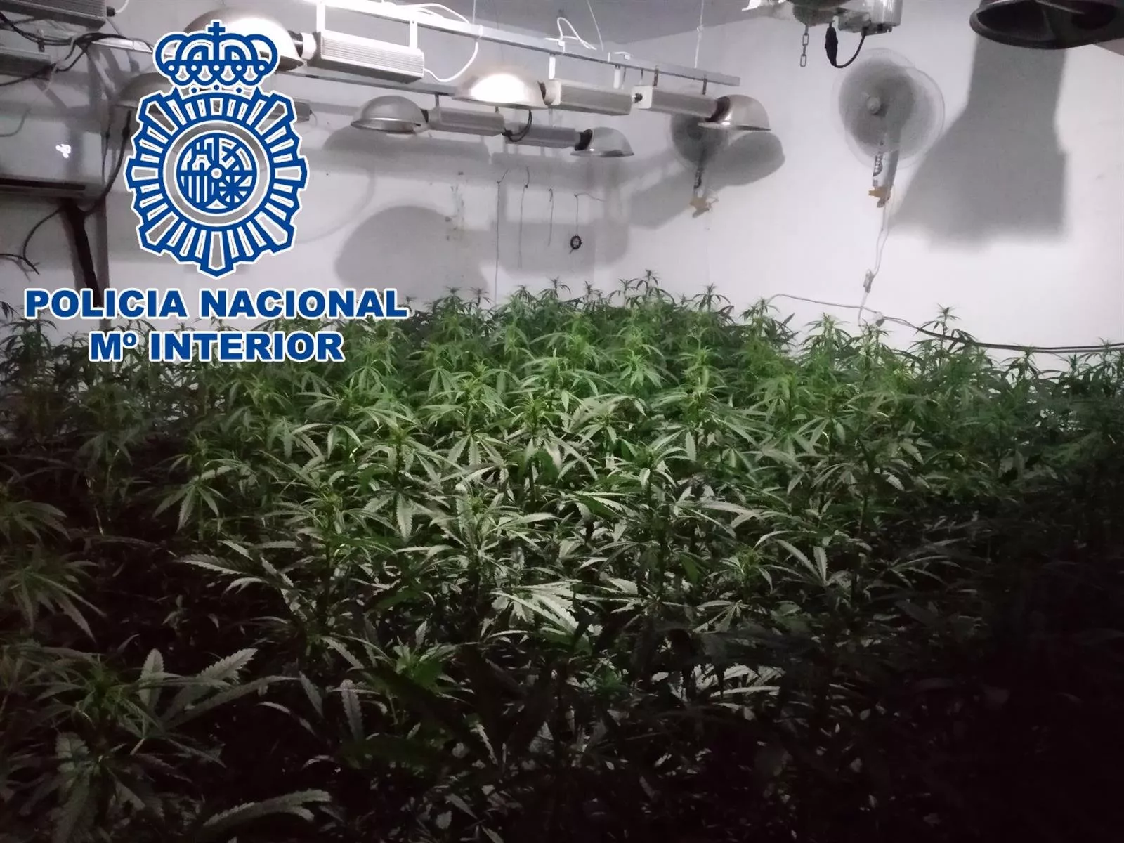 noticias cadiz sanlucar_11.jpg noticias cadiz sanlucar_11.jpg