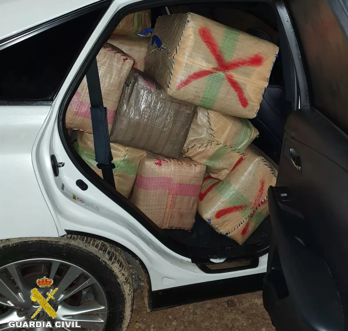 noticias droga alg.jpg noticias droga alg.jpg