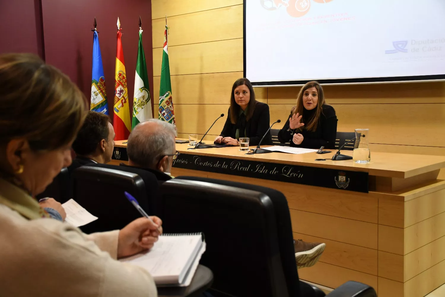 noticias cadiz Irene Garcia interviene en jornada sobre adicciones.JPG