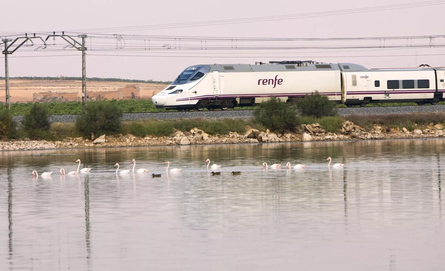 noticias cadiz alvia .jpg noticias cadiz alvia .jpg