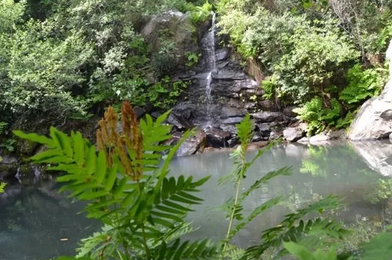 Garganta del Gran Capitán noticias cadiz ecologiastas agua.jpg