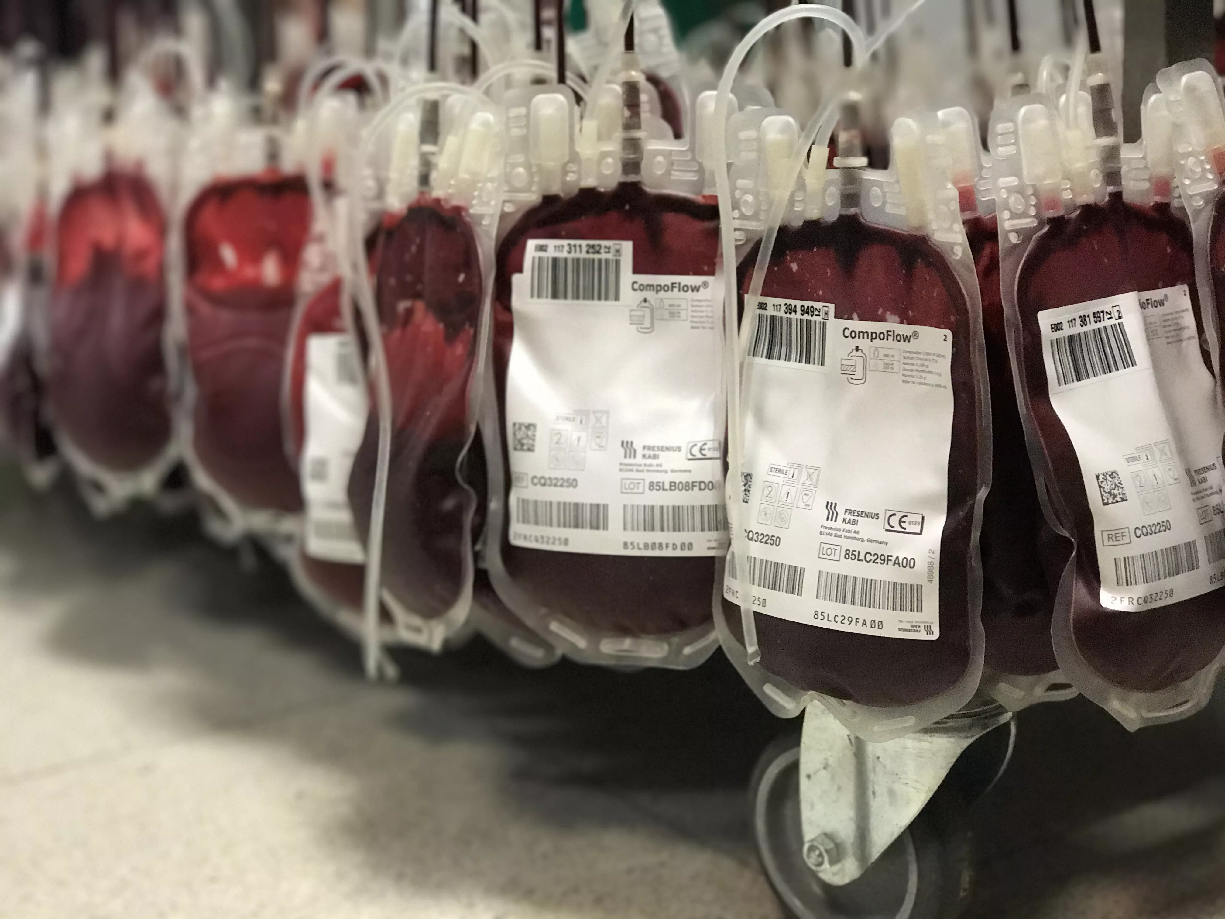 noticias cadiz Donación sangre.JPG noticias cadiz Donación sangre.JPG