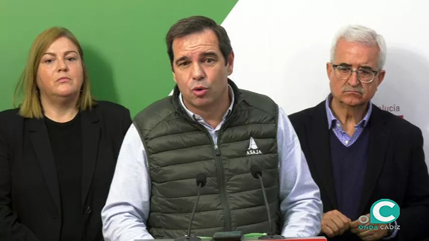 noticias cadiz PSOE agricultura.jpg noticias cadiz PSOE agricultura.jpg