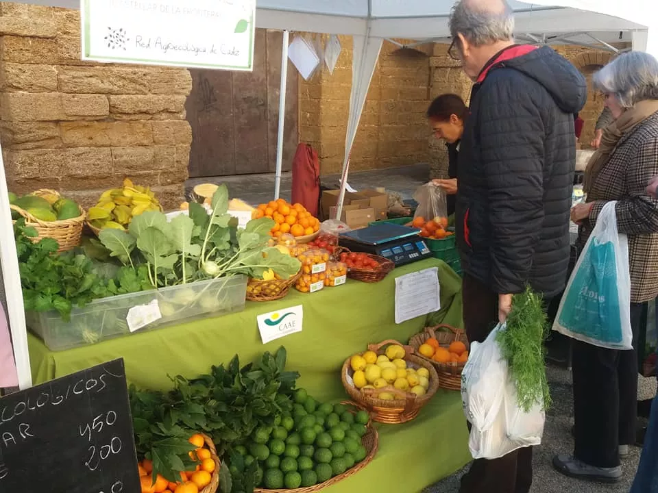 noticias cadiz ecomercado_2.jpg noticias cadiz ecomercado_2.jpg