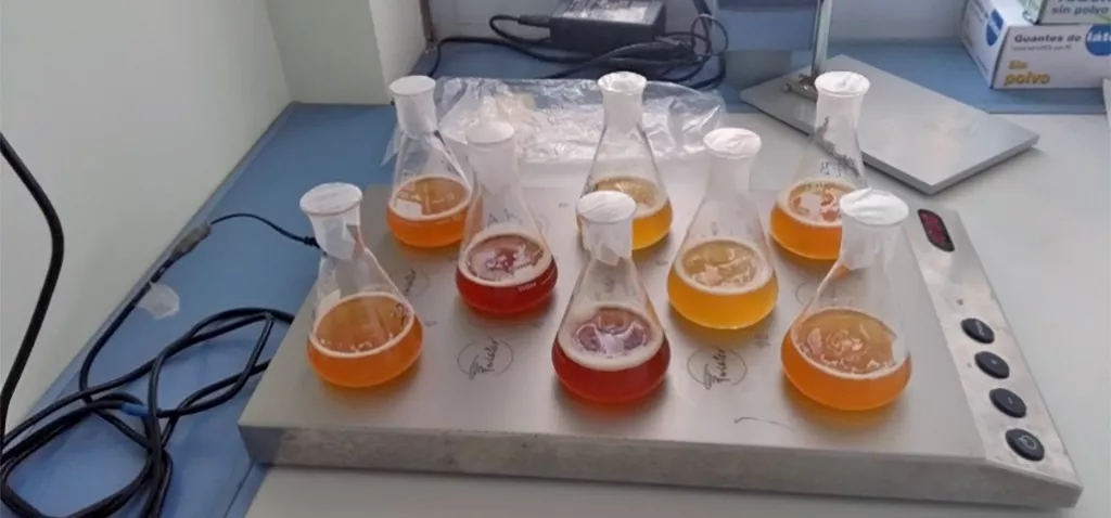 noticias cadiz uca cerveza.jpg noticias cadiz uca cerveza.jpg