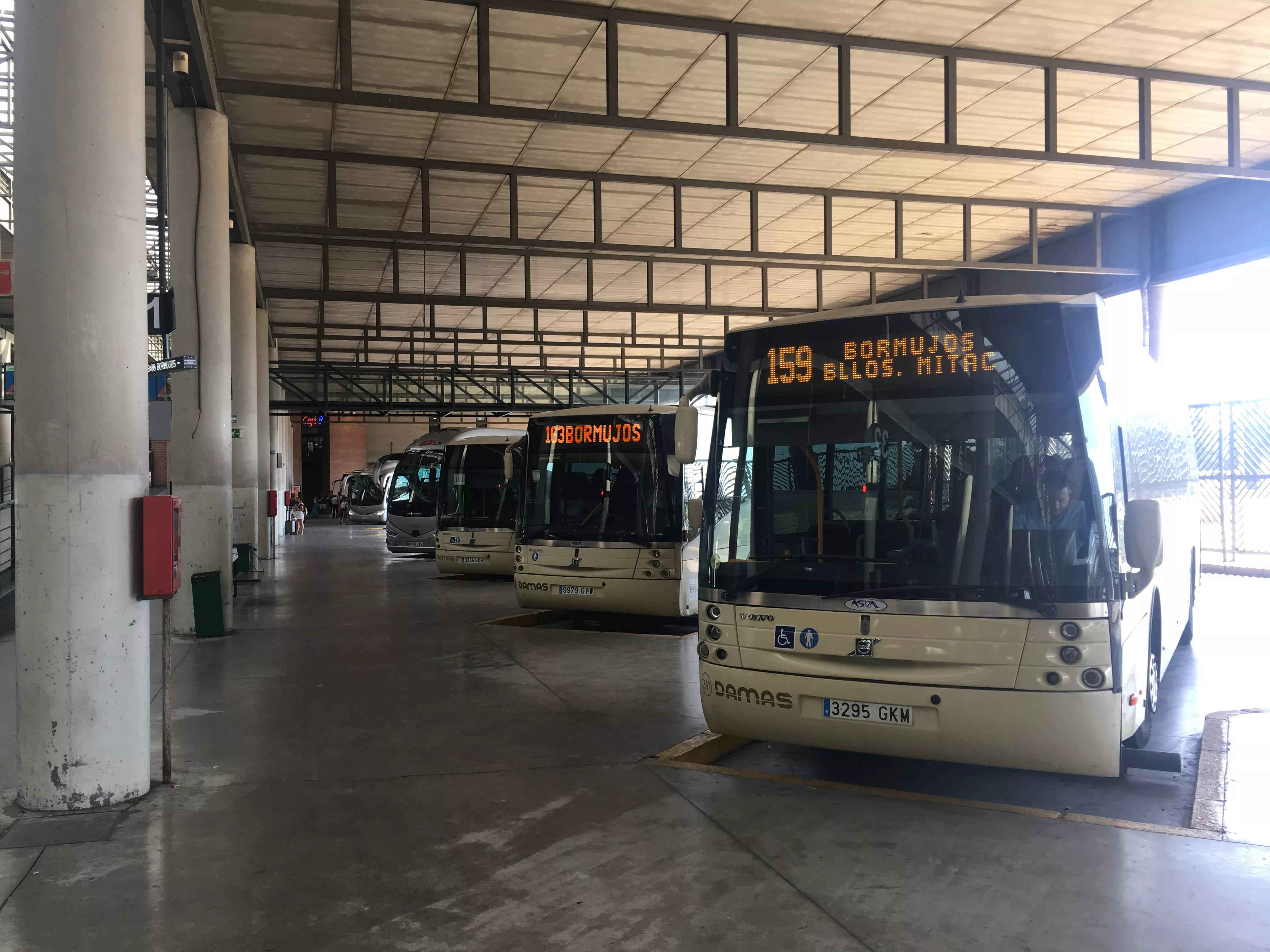 AUTOBUSES.JPG AUTOBUSES.JPG