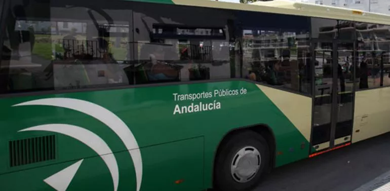 Autobuses.jpg Autobuses.jpg