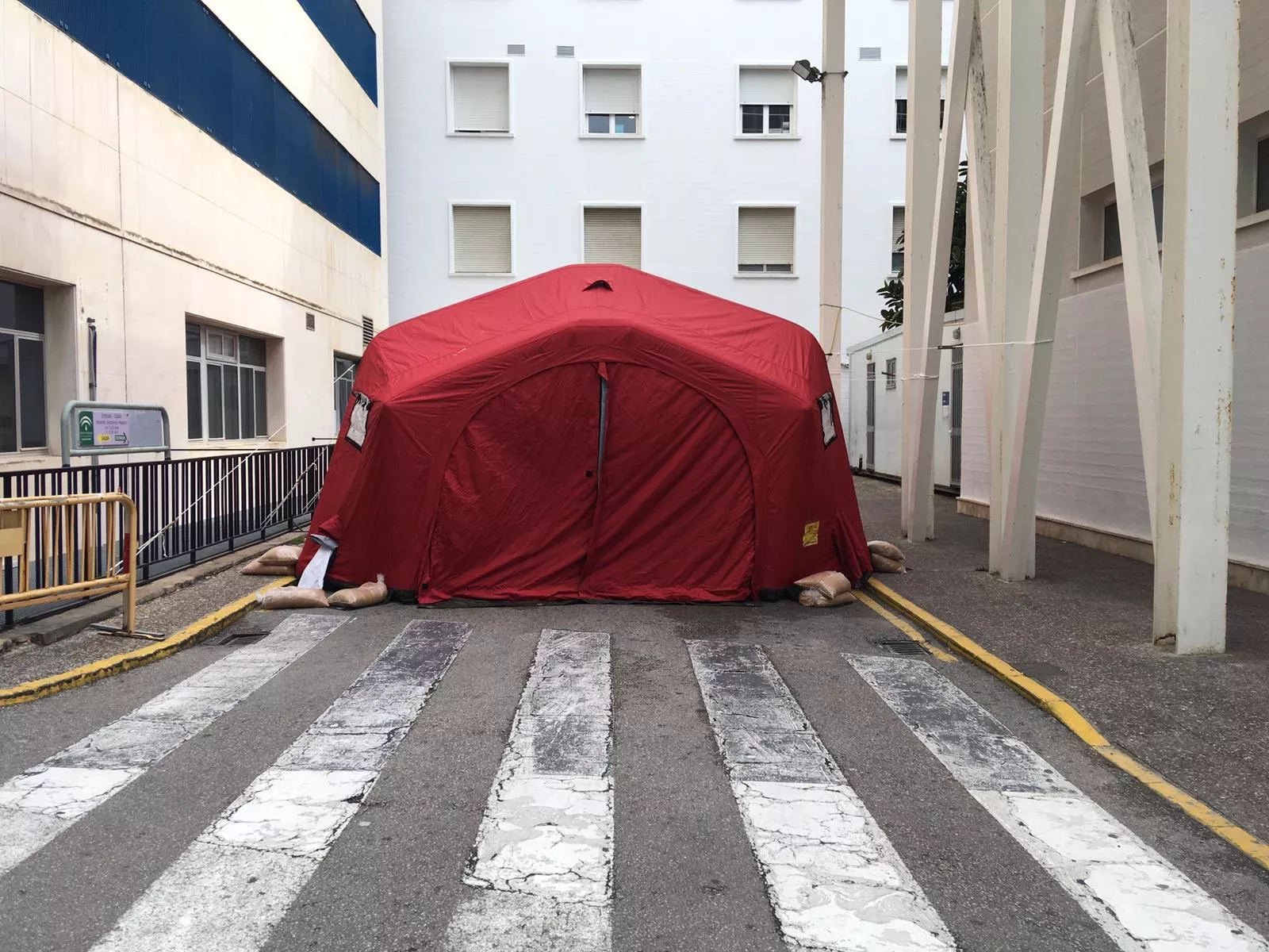 CARPA ROJA.JPG CARPA ROJA.JPG