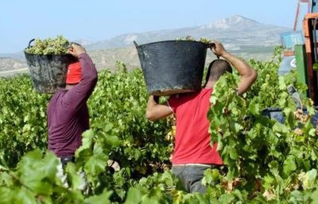 LEY-AGRICULTURA-ANDALUCIA-UGT-1068x688.jpg LEY-AGRICULTURA-ANDALUCIA-UGT-1068x688.jpg