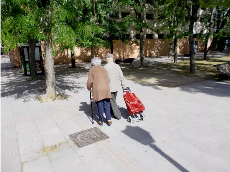 Pareja-Mayor-Carrito.png Pareja-Mayor-Carrito.png