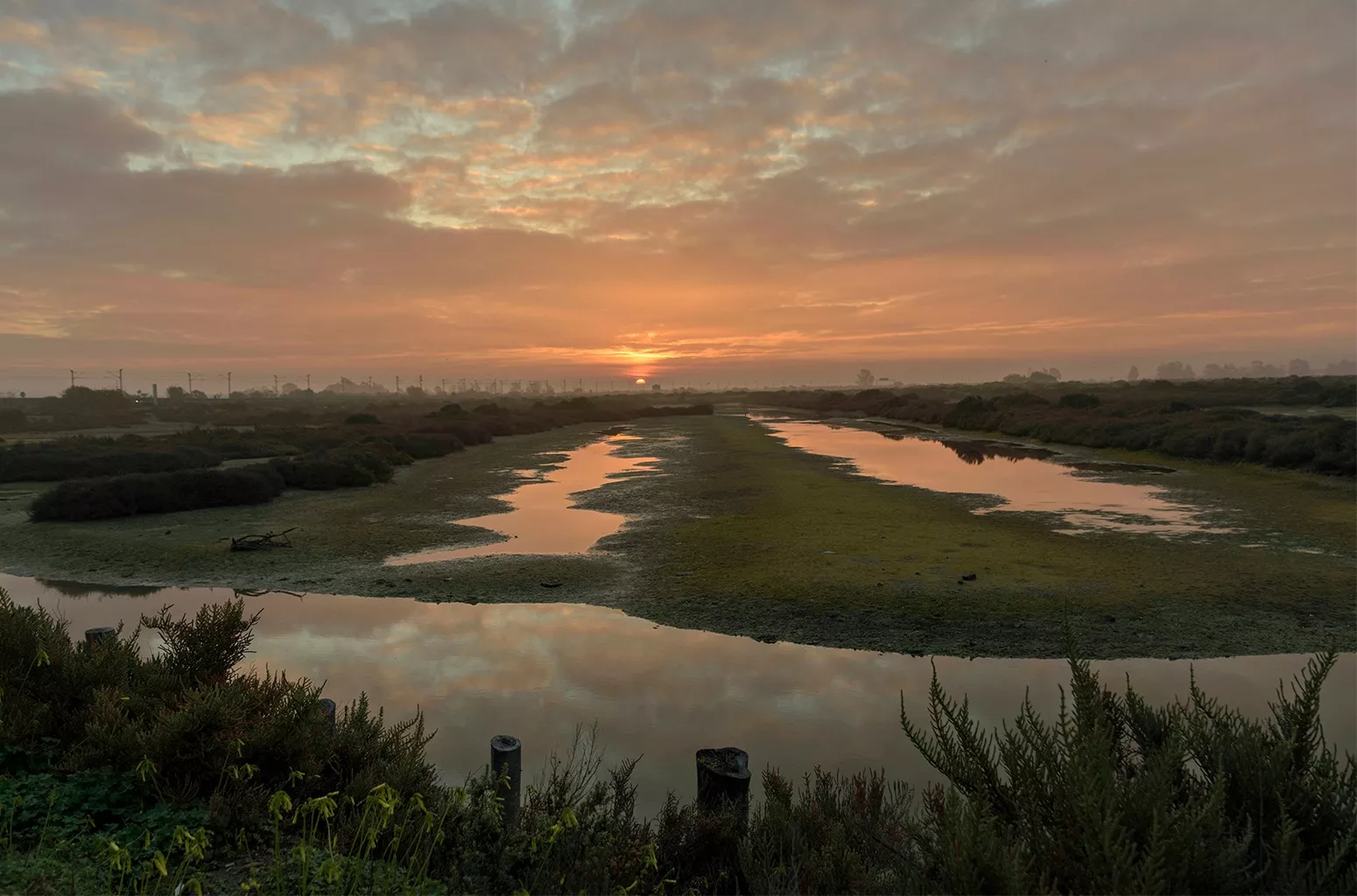 noticias cadiz Amaneciendo entre esteros.jpeg noticias cadiz Amaneciendo entre esteros.jpeg