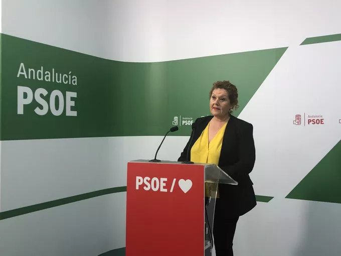noticias cadiz araceli maese_16.jpg noticias cadiz araceli maese_16.jpg