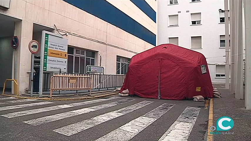 noticias cadiz carpa_3.jpg noticias cadiz carpa_3.jpg