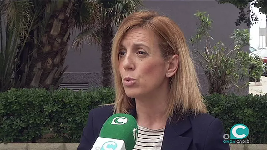 noticias cadiz maria jose rodriguez psoe_0_3.jpg noticias cadiz maria jose rodriguez psoe_0_3.jpg