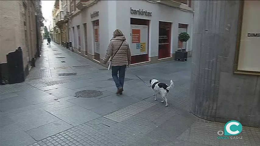 noticias cadiz paseando al perro.jpg noticias cadiz paseando al perro.jpg