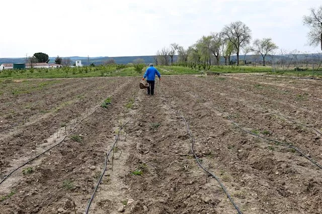 CAMPO.jpg CAMPO.jpg