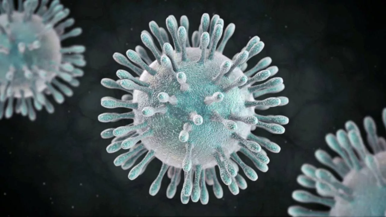 Coronavirus-161.jpg Coronavirus-161.jpg
