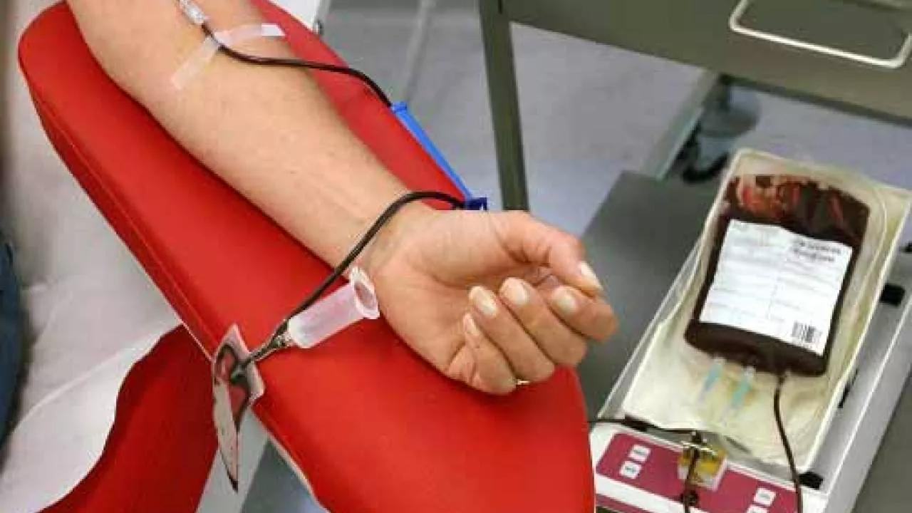 Donacion-Sangre-Beneficios-Mitos-Requisitos-Plaquetas.jpg Donacion-Sangre-Beneficios-Mitos-Requisitos-Plaquetas.jpg