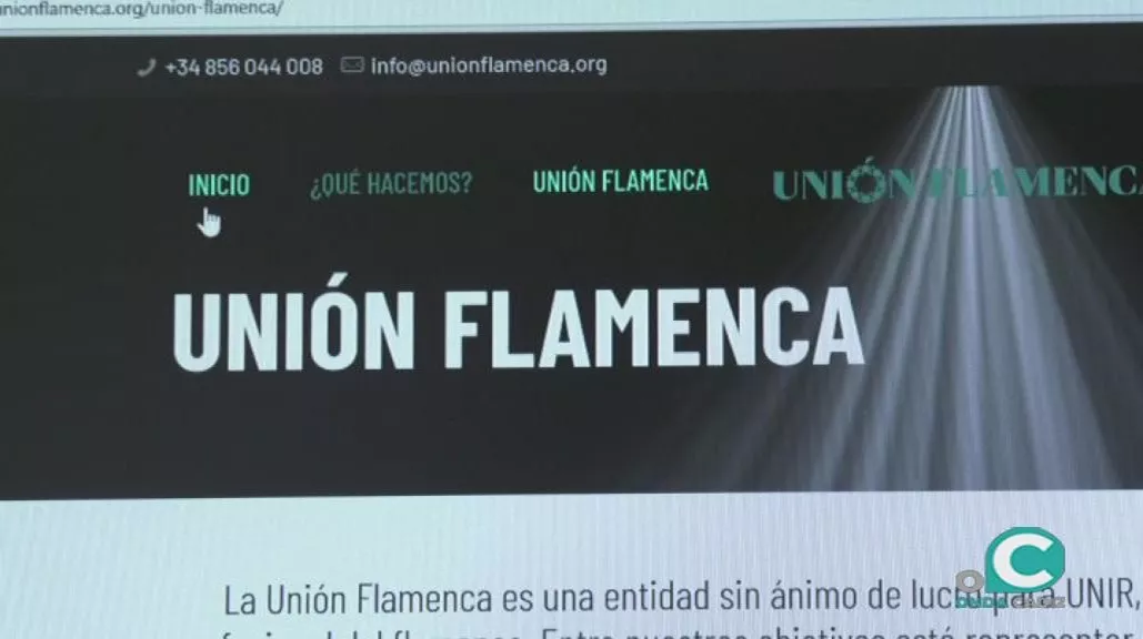 FOTO UNION FLAMENCA ok.jpg