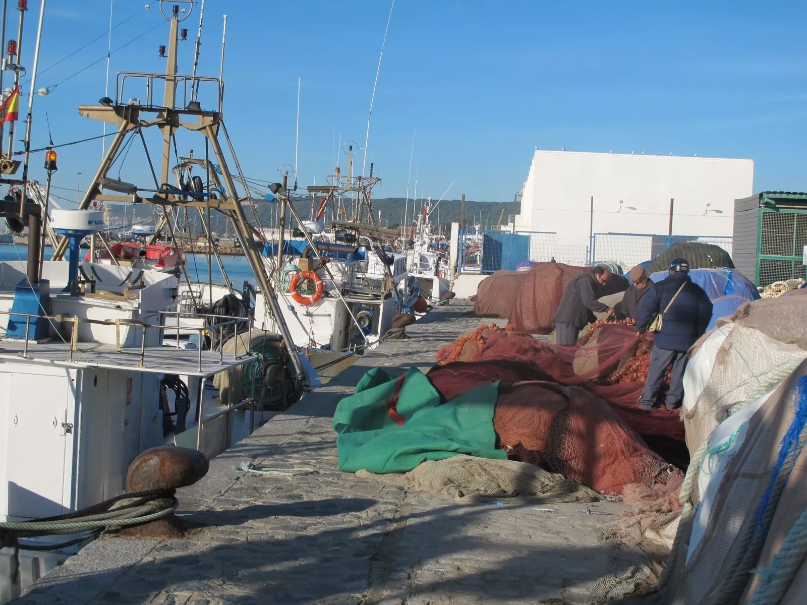 PESCA BARBATE ok.jpg PESCA BARBATE ok.jpg