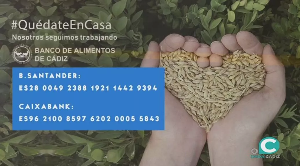foto banco alimentos ok.jpg foto banco alimentos ok.jpg