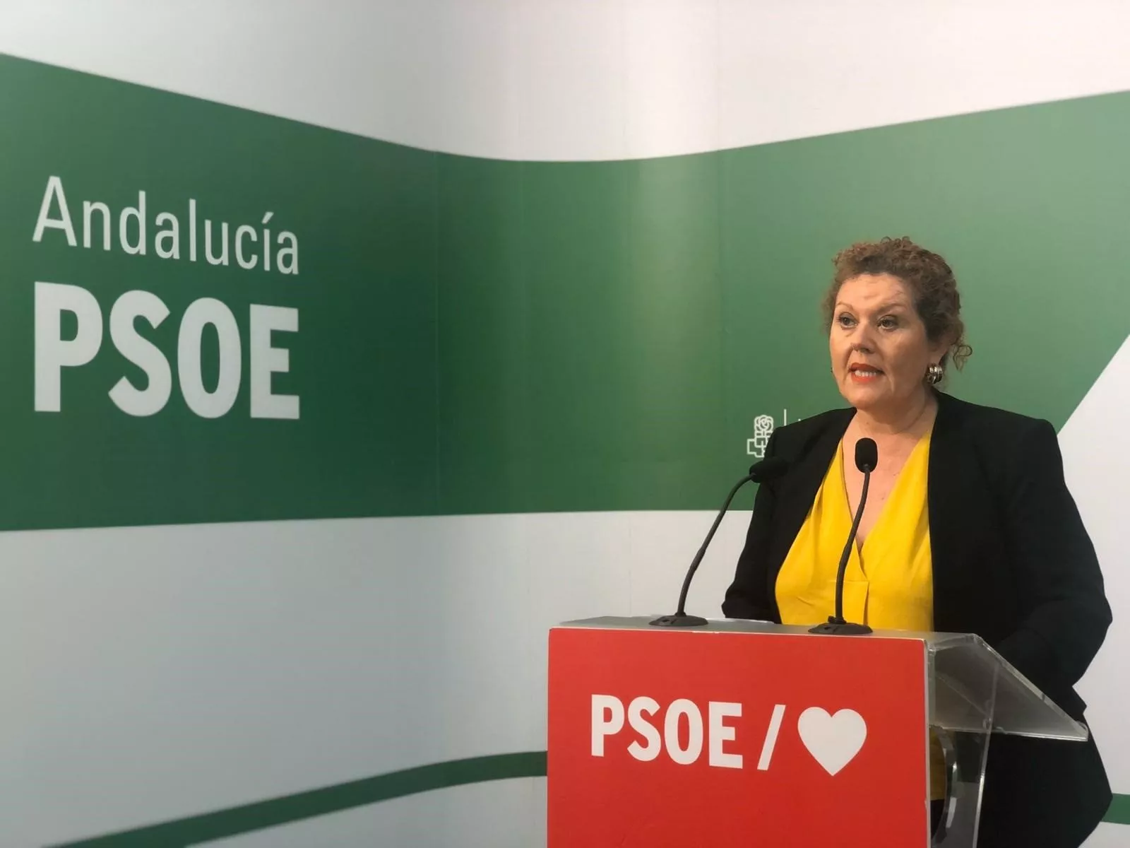 psoe cadiz.jpg psoe cadiz.jpg