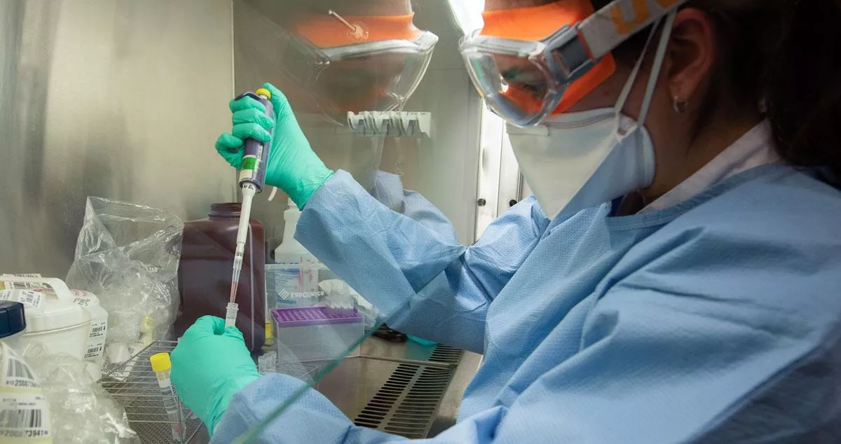 coronavirus.jpeg coronavirus.jpeg