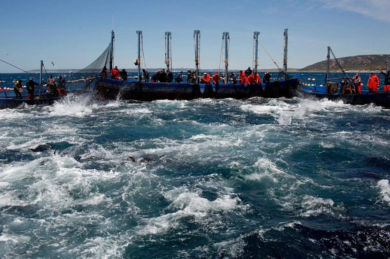 noticias cadiz gadira.jpg noticias cadiz gadira.jpg