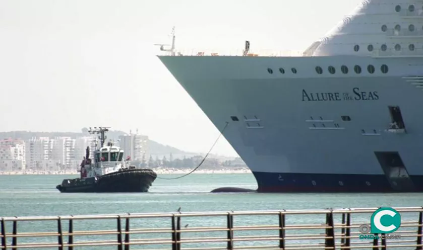 A. FOTO CRUCERO.jpg