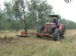 Ayudas junta campo.jpg Ayudas junta campo.jpg