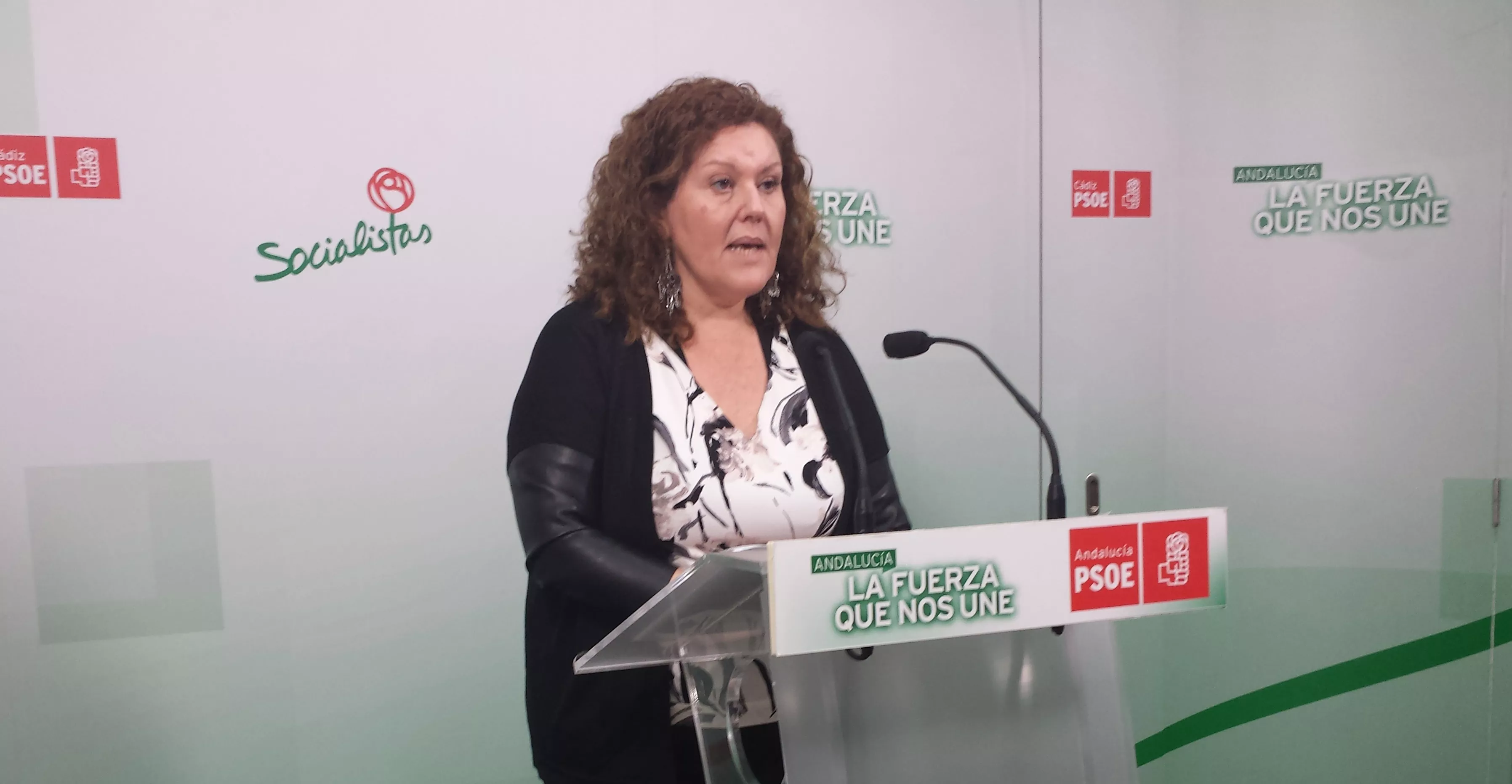 noticias cadiz araceli maese ok_1.jpg noticias cadiz araceli maese ok_1.jpg