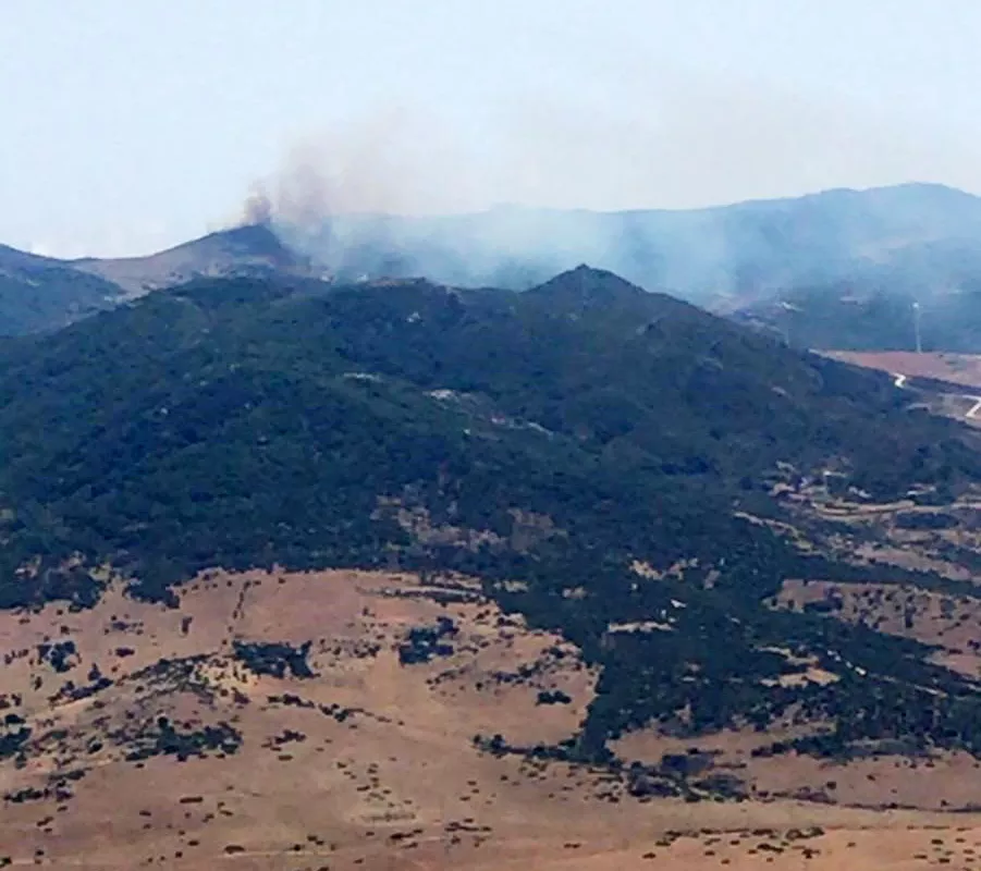 INCENDIO TARIFA.jpg INCENDIO TARIFA.jpg