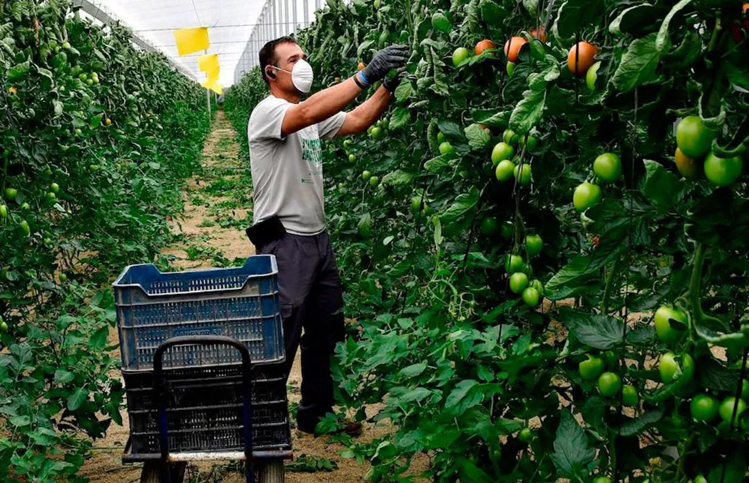 agricultores mascarillas.jpg