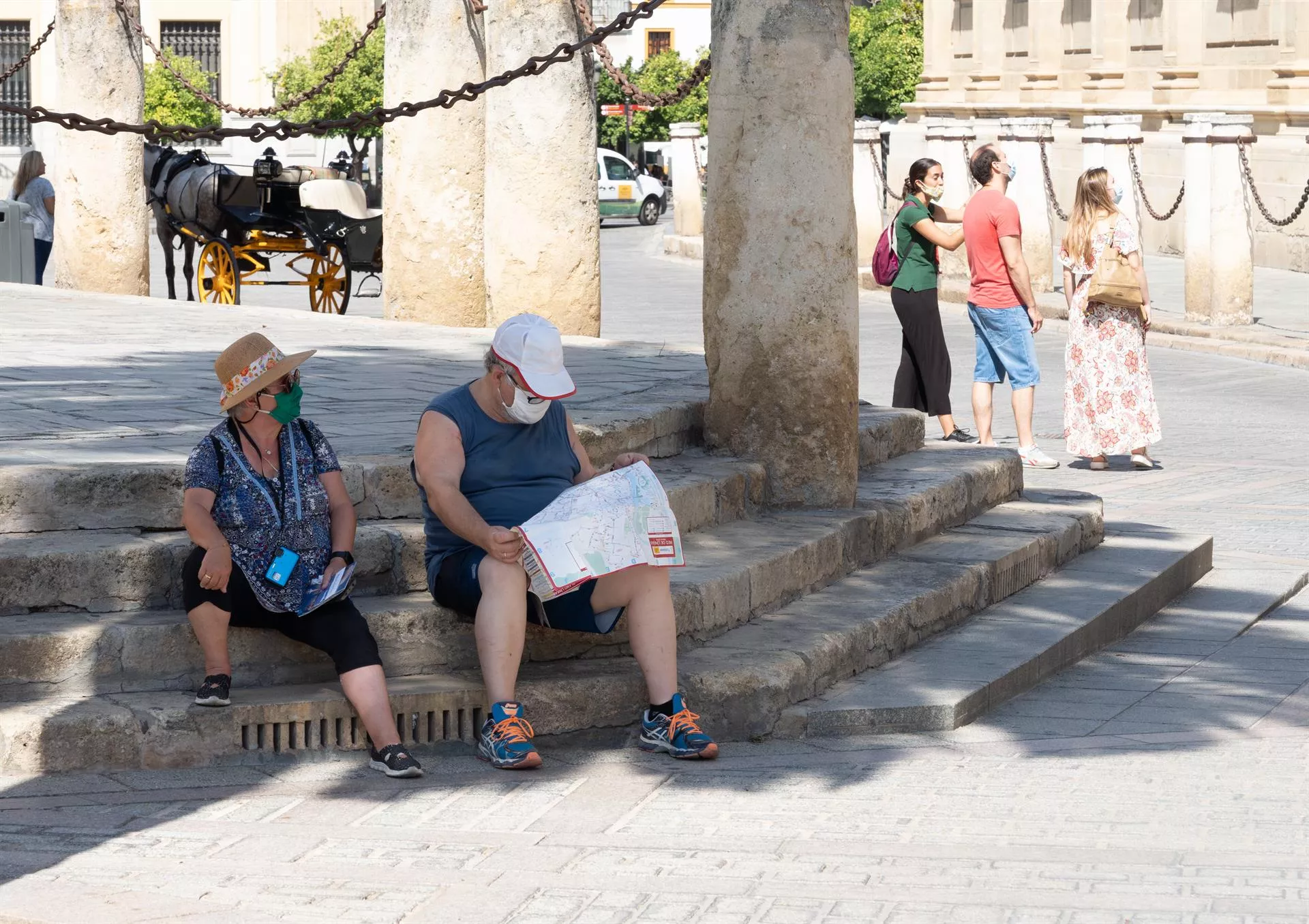 brotes andalucia_0.jpg brotes andalucia_0.jpg