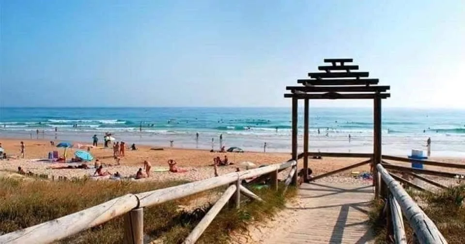 El palmar.jpg El palmar.jpg